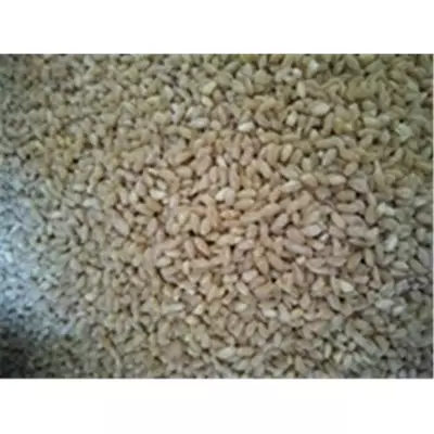 /resimler/cacheweb/urunler/dovme_keskeklik__bugday_1kg1_10.webp?v=636468817254666708