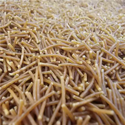 /resimler/cacheweb/urunler/kavrulmus_sehriye_1kg1_19.webp?v=638593439937146918